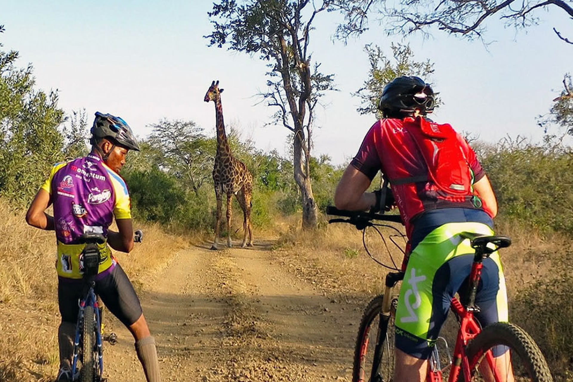 Kili-Bike-Park-Safari-3